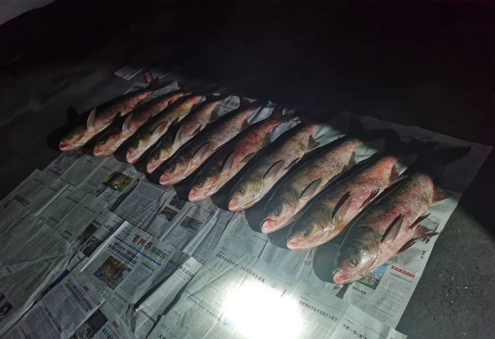 AI預警處置監(jiān)控系統(tǒng)